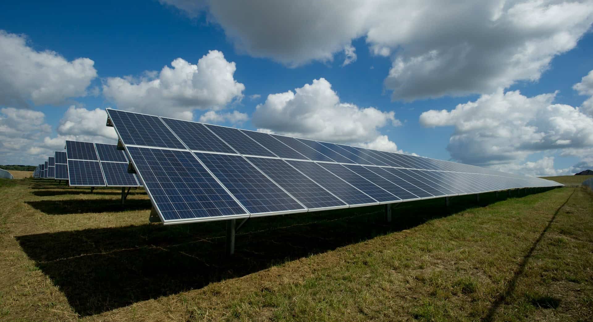 solar panels in a field