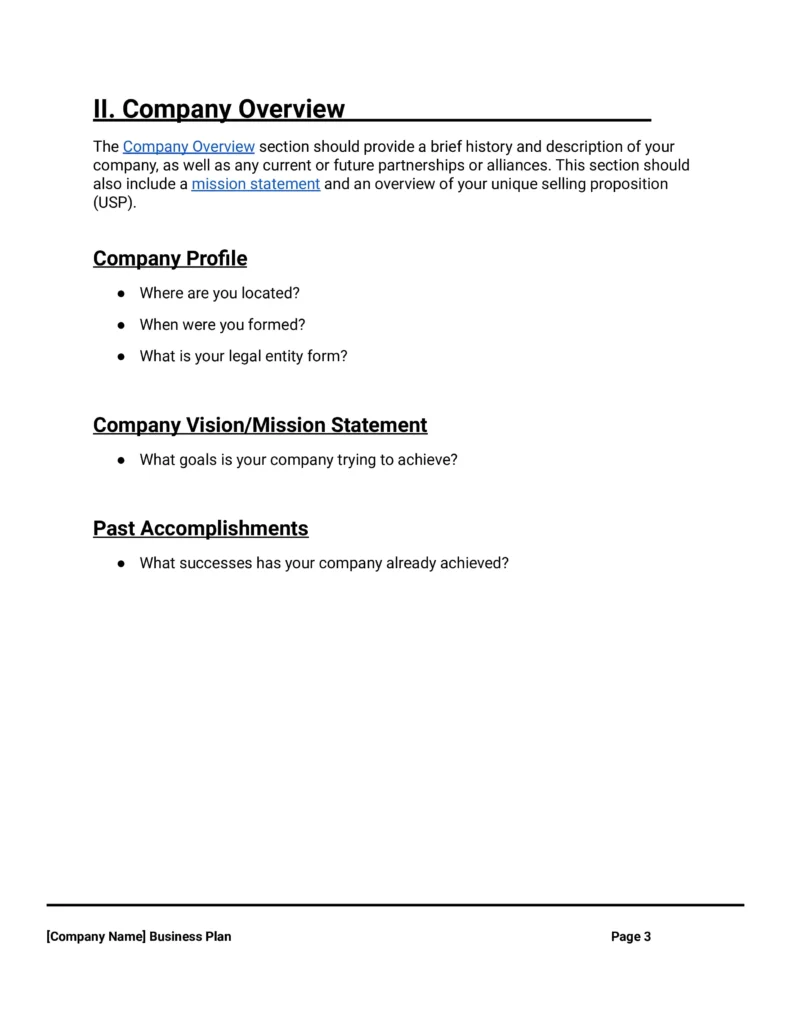 company overview business plan