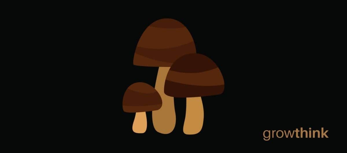 start a mushroom farming business
